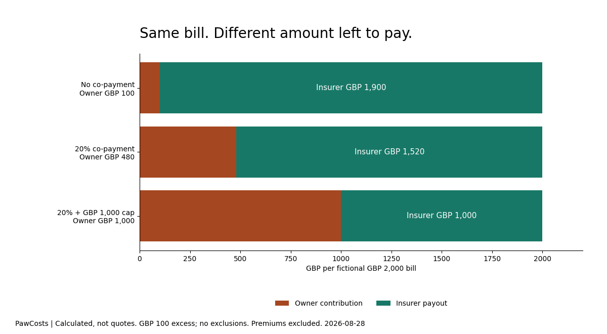 Fictional GBP 2,000 bill: owner contribution GBP 100 with no co-payment, GBP 480 with 20 percent, and GBP 1,000 with 20 percent and a GBP 1,000 payout cap.
